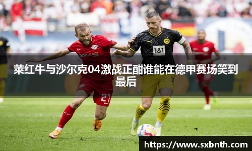 萊红牛与沙尔克04激战正酣谁能在德甲赛场笑到最后